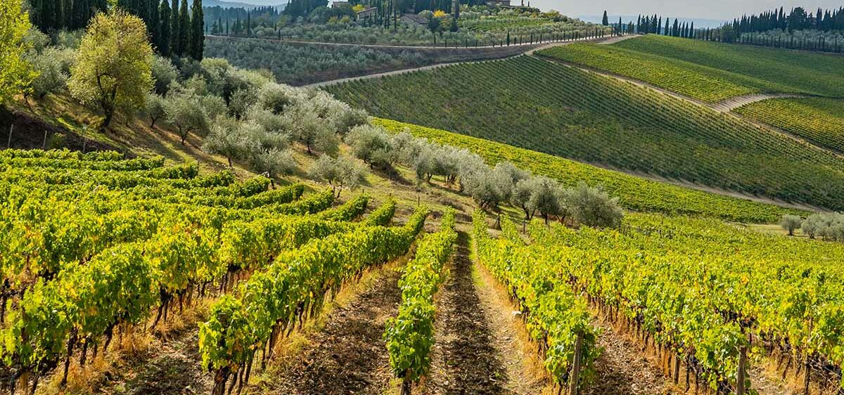 colline_toscana